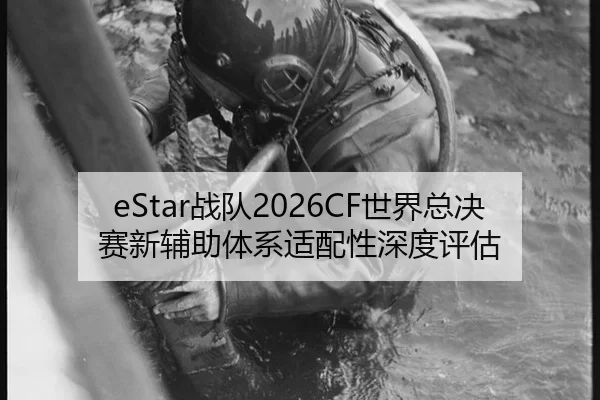 zhan-dui-shi-jie-zong-jue-sai-xin-fu-zhu-ti-xi-shi-pei-xing-shen-du-ping-gu-2-832.jpg