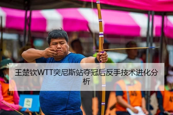 王楚钦WTT突尼斯站夺冠后反手技术进化分析